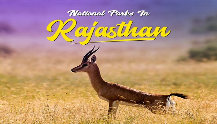 National parks in rajasthan