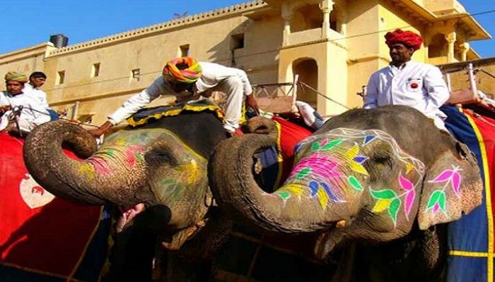 Elephant Ride to Amer Fort