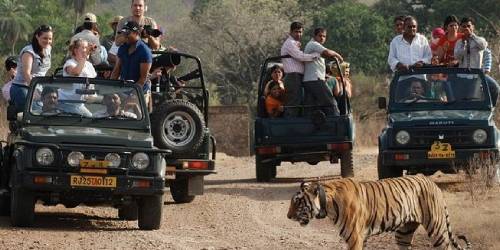 Jaipur Ranthambore tour