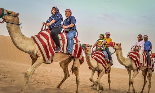 one hour camel safari tour