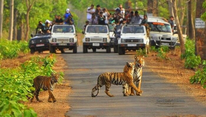 Sariska National Park