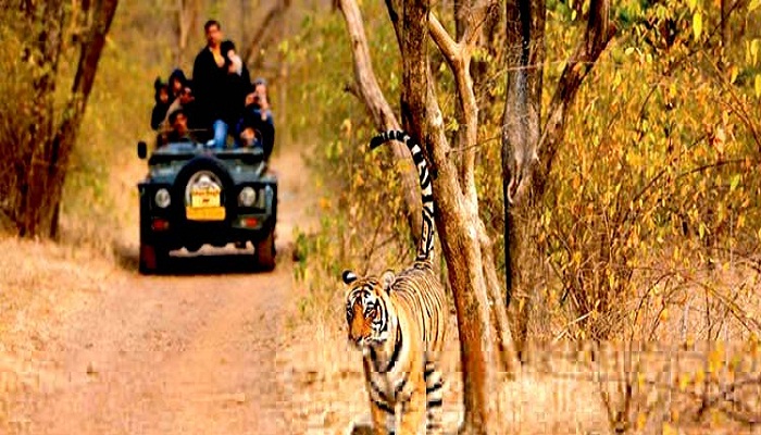 Ranthambore National Park