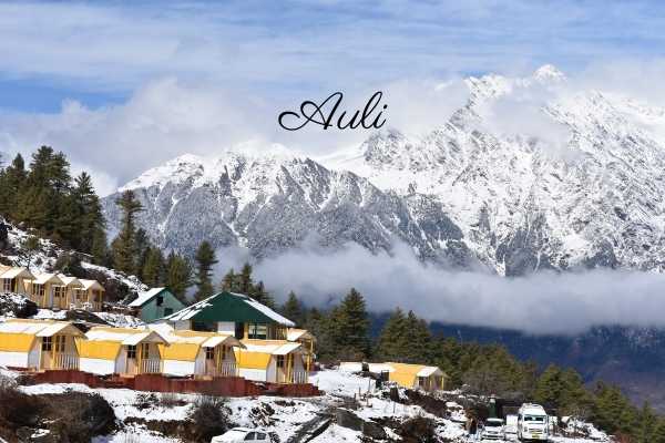 Auli