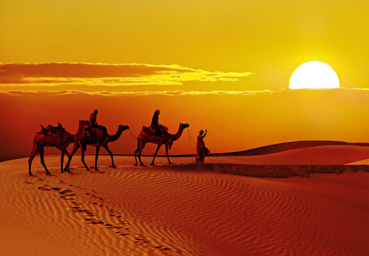 Stays In Rajasthan