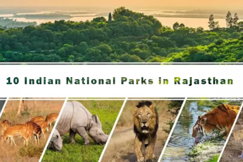 National Parks in Rajasthan