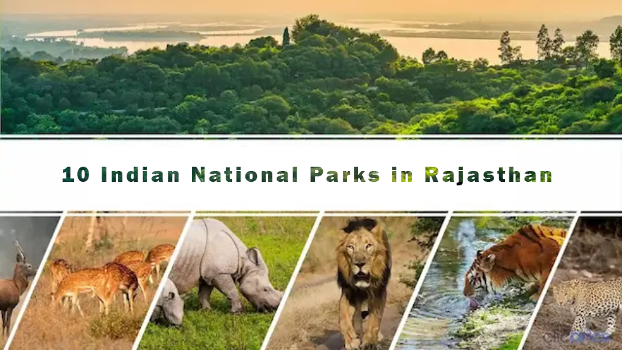 National Parks in Rajasthan