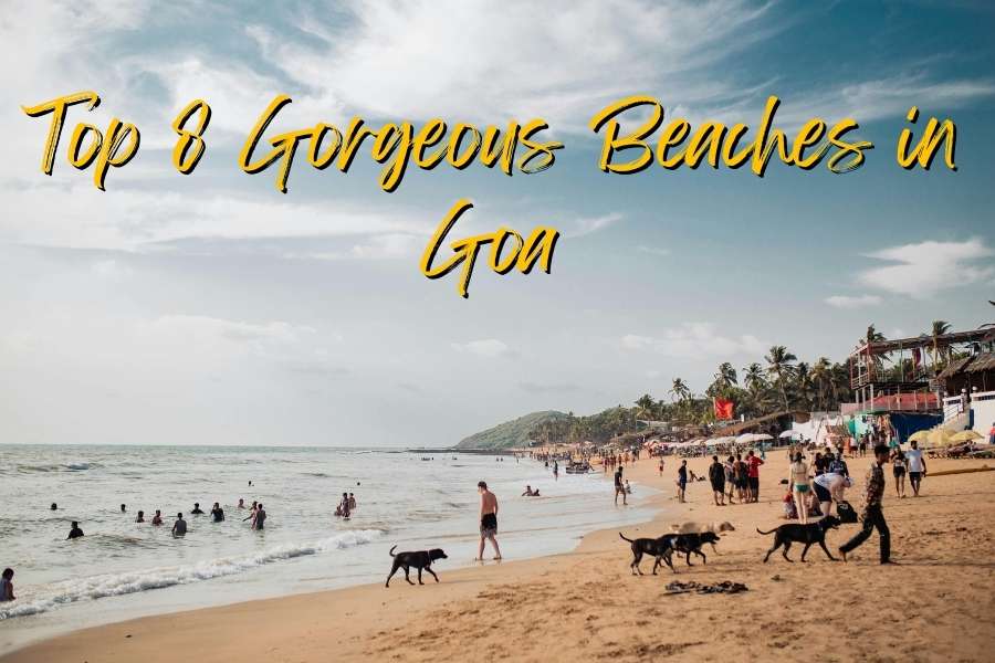 Gorgeous Beaches in Goa