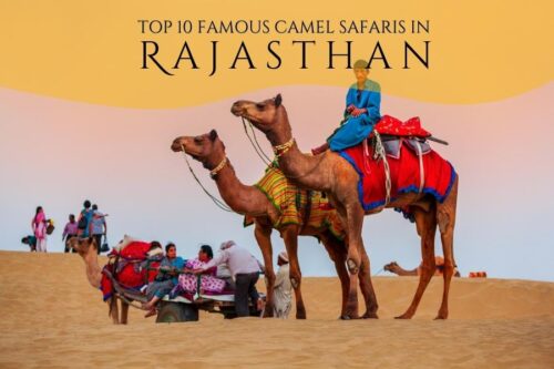 Camel Safaris in Rajasthan