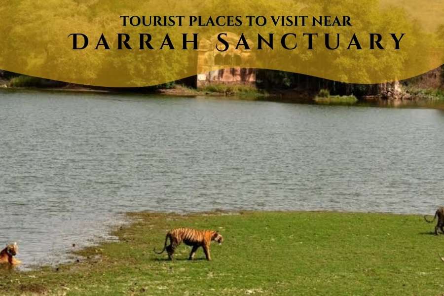 Places to Visit Near Darrah Sanctuary