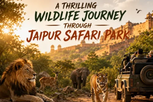 Jaipur Safari Park