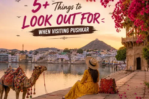 look-out-for-when-visiting-pushkar