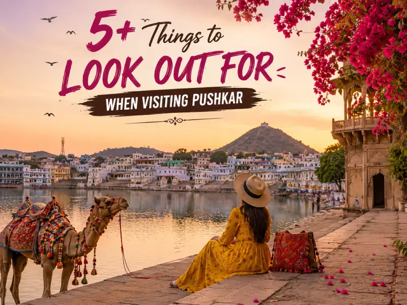 look-out-for-when-visiting-pushkar
